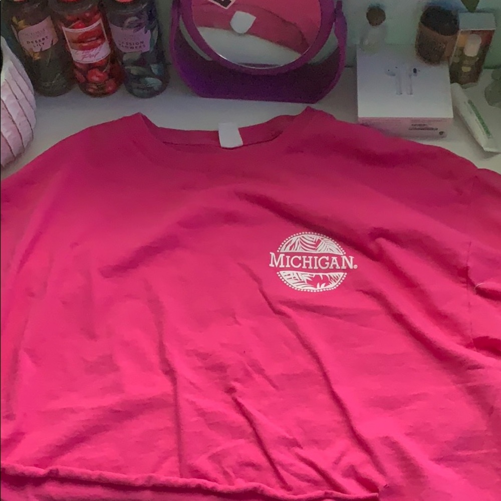 Pink Michigan crop top